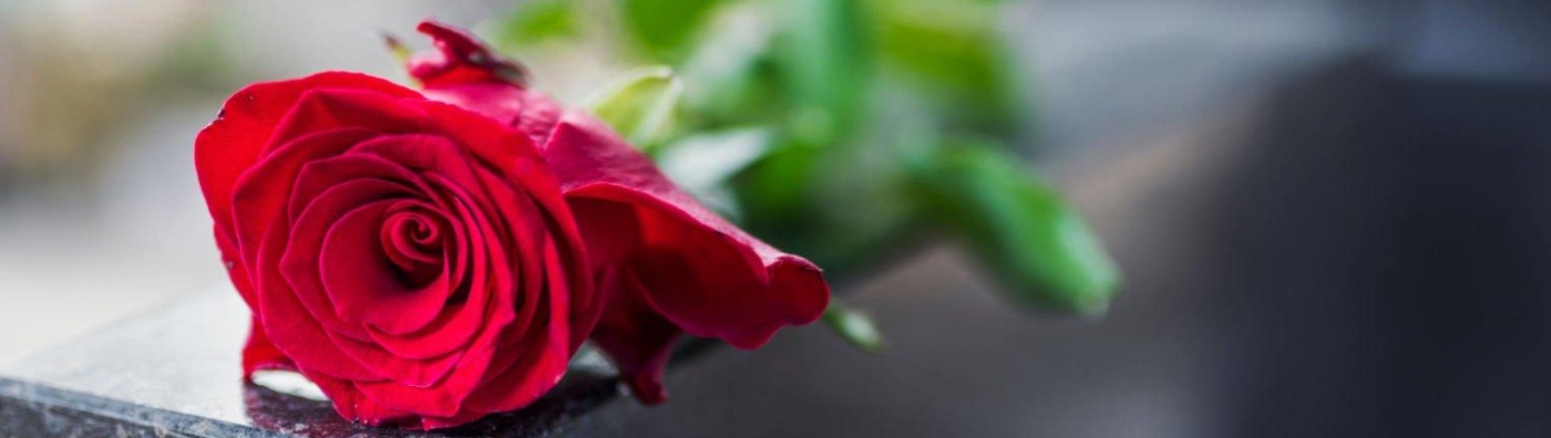 Entrega garantizada de flores a Zaragoza